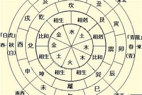 乙木日主|八字命理十天干详解之乙木